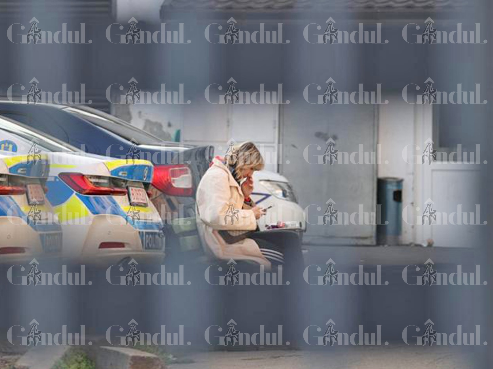 Monica Odagiu, susținută de familie la audierile de după accident