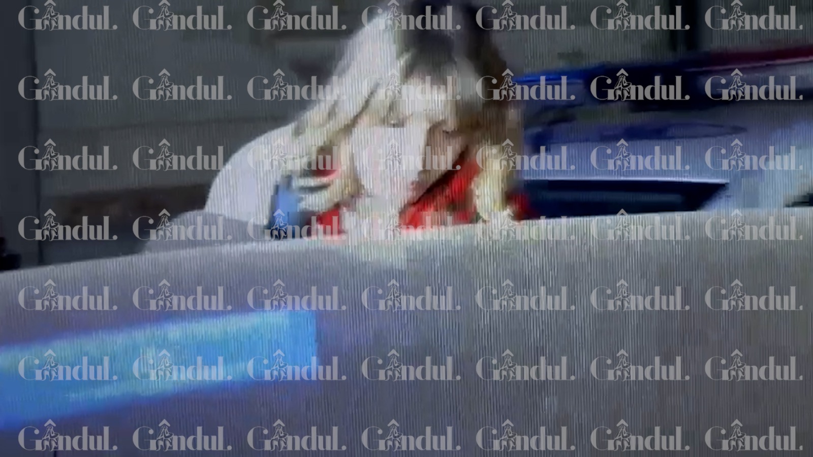 Monica Odagiu a ieșit de la audieri