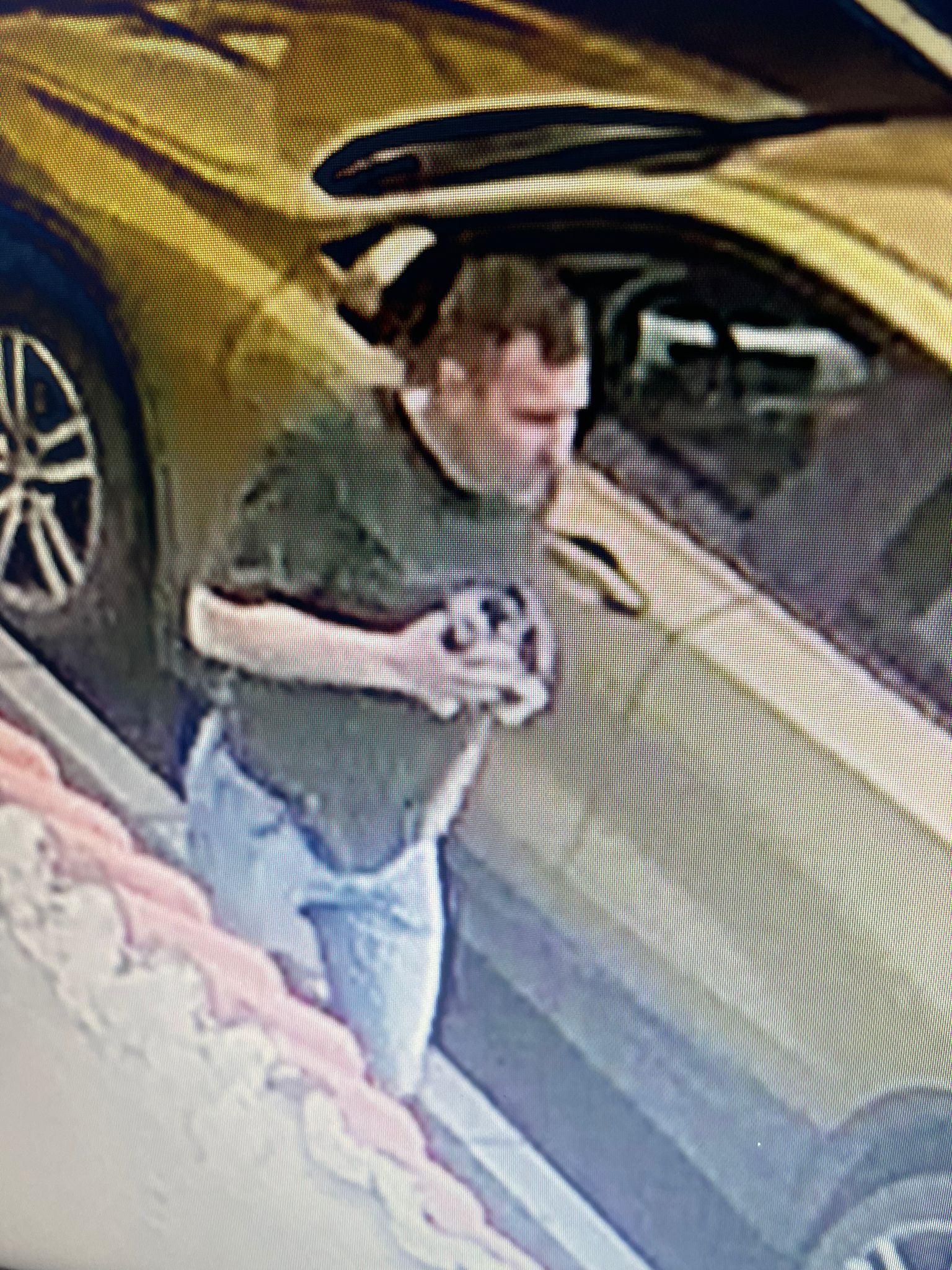 Agresorul patronului de la NUBA, dat în urmărire generală în Europa