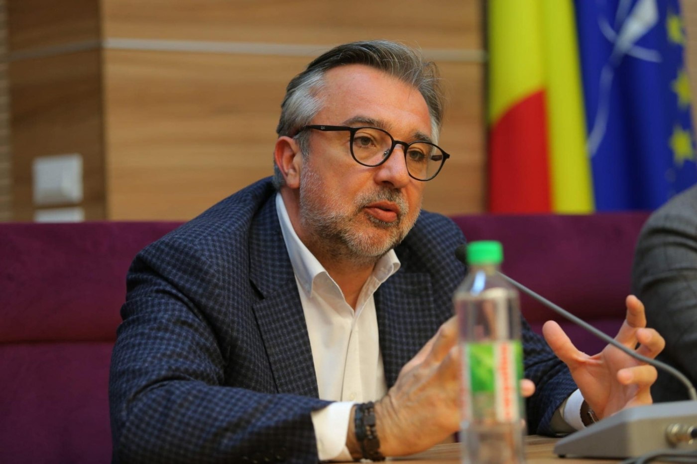 Romascanu: Firea va trebui să explice această apropiere de Godei și să decidă în consecință