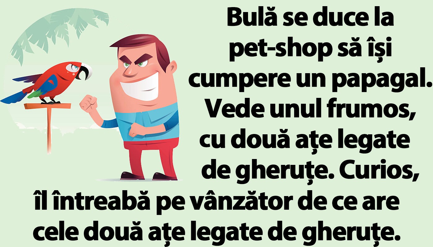 Bancul de seară | Bulă se duce la pet-shop să își cumpere un papagal