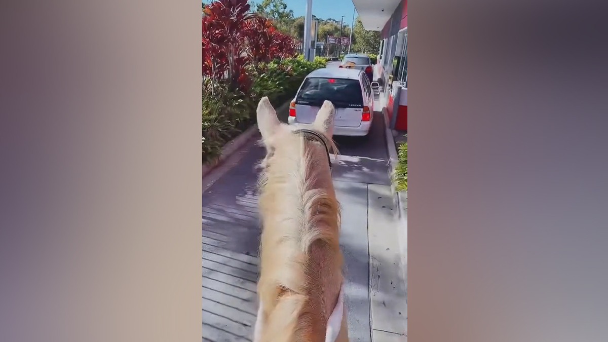 O femeie s-a dus călare pe un cal să își ia o cafea de la un drive-thru McDonald’s