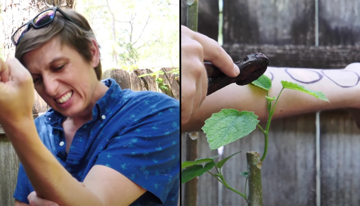 Cea mai periculoasă plantă din lume, care provoacă gânduri suicidale