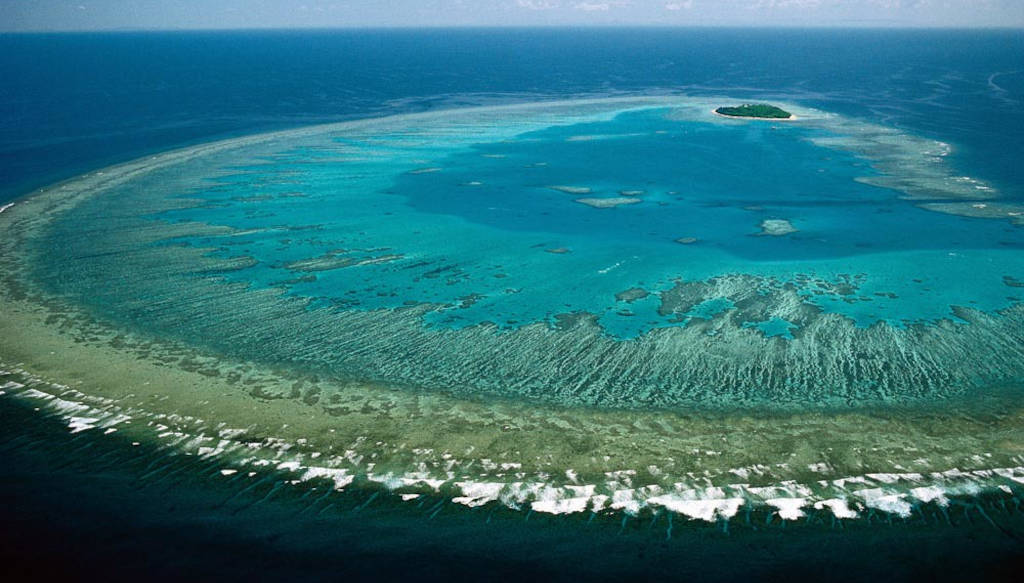 Temperaturile extreme distrug Marea Barieră de Corali din Australia. Un nou episod de albire ar putea avea loc curând