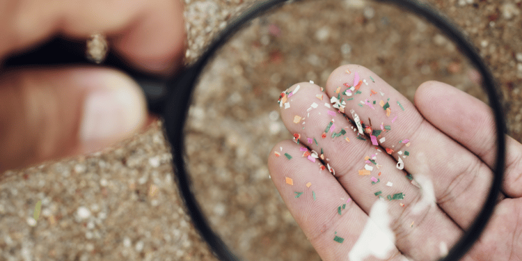 Nouă tipuri de particule de microplastic au fost găsite la nivelul țesutului cardiac. Fragmentele au pătruns în corp prin gură sau nas