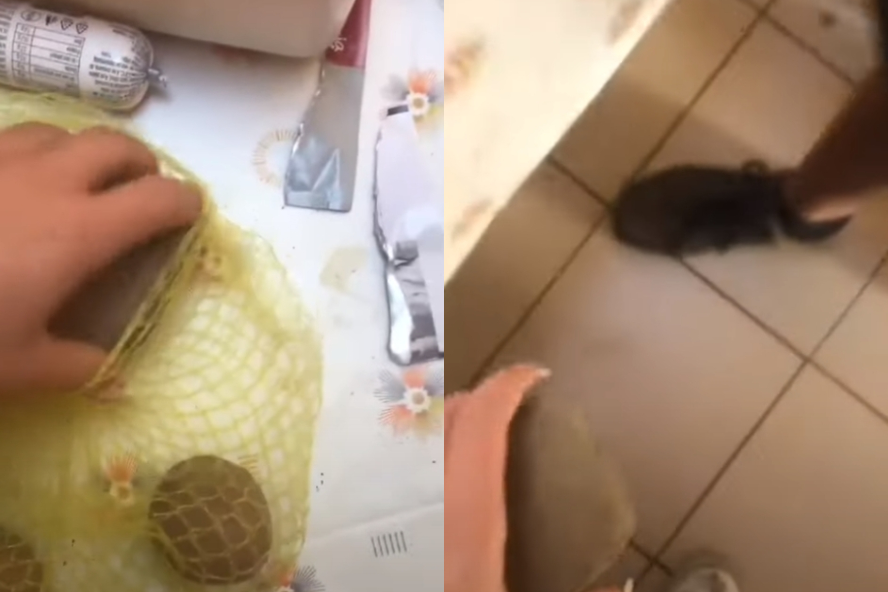 Ireal ce a găsit o femeie în sacul cu CARTOFI cumpărat de la magazin. „Ne dăm seama după…”