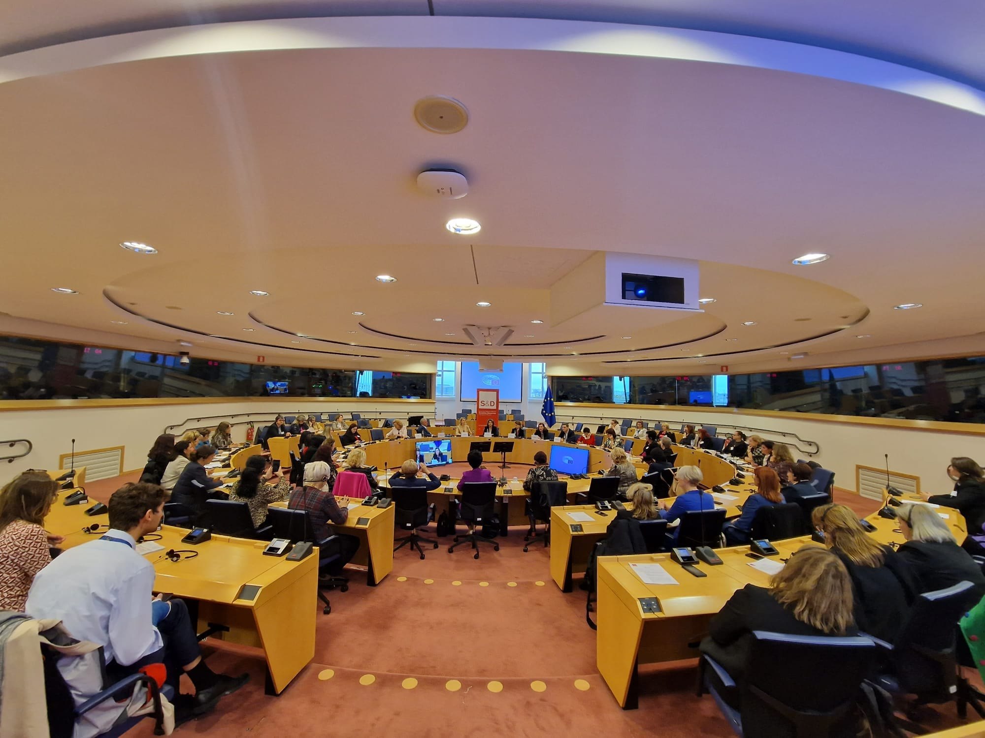 Rovana Plumb: Viziunea social-democraților e una feministă/ Ce se întâmplă cu proiectul privind cotele de gen