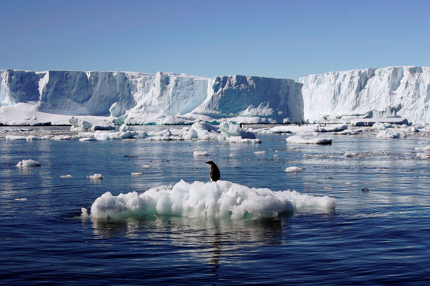 Antarctica pierde 7,5 trilioane de gheață. Cercetătorii spun că jumătate din platforme nu prezintă „niciun semn de redresare”