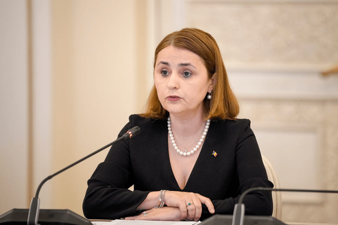 România este dedicată unui spațiu Schengen puternic și sigur