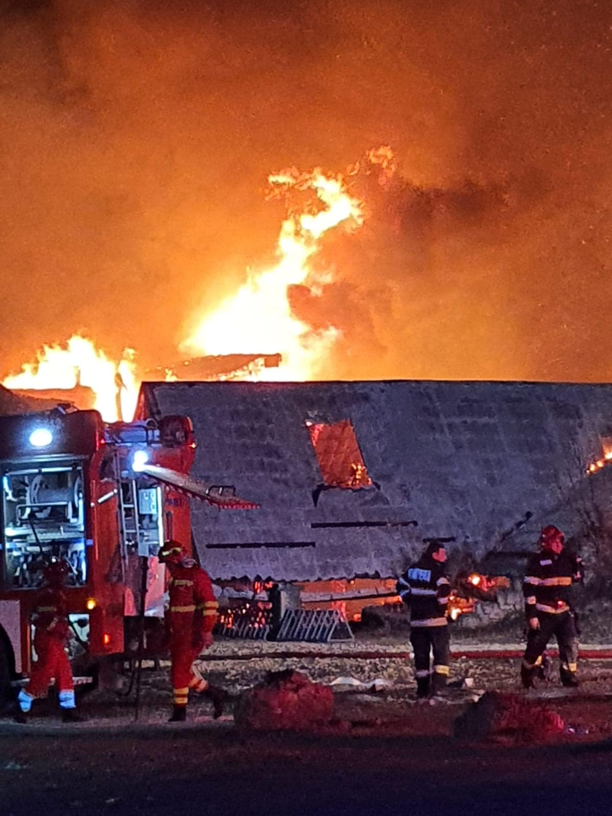 Tatăl unei tinere care a murit în INCENDIUL de la Ferma Dacilor a mărturisit anchetatorilor că nu știa că fata sa e acolo: „M-a sunat soția”