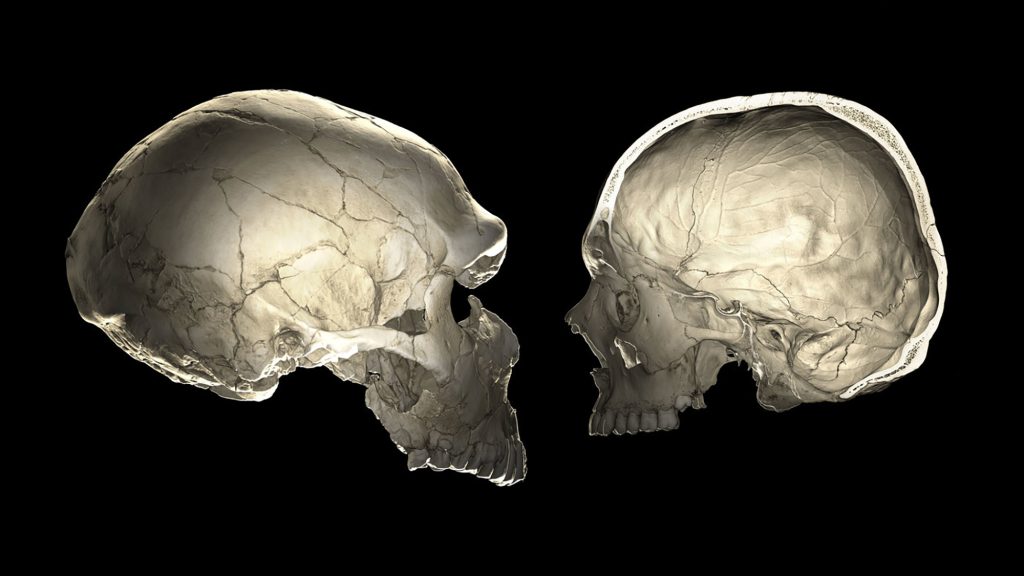Neanderthalienii erau matinali. Ce au descoperit cercetătorii