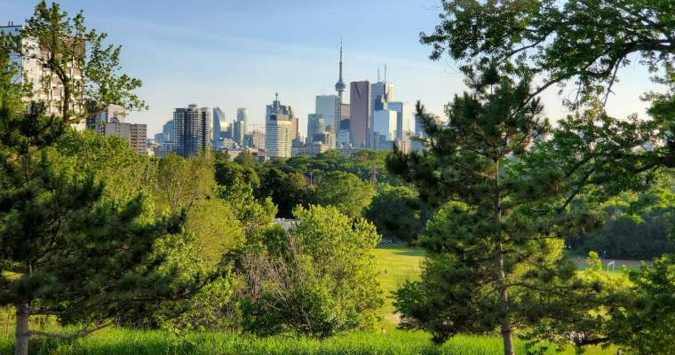Orașul-burete, un model urbanistic ce poate salva. Cum a luat naștere conceptul