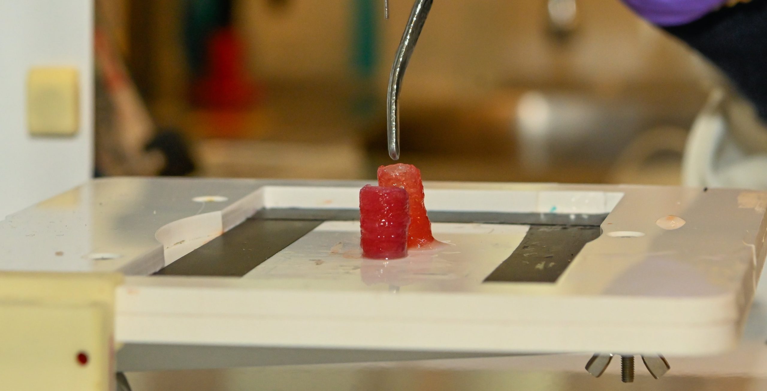 Inginerii de la ESA au creat vase de sânge prin bioprintare 3D