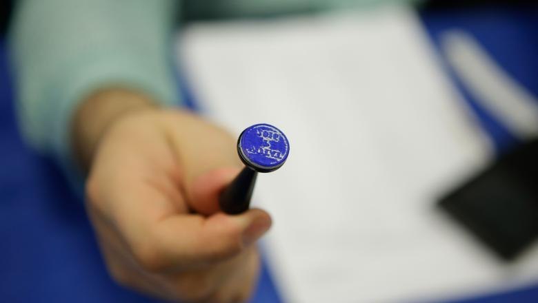 Cine sunt politicienii exotici care candidează la primăriile din București