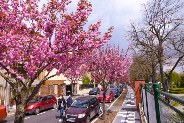 Unde se află cea mai frumoasă stradă din Europa?