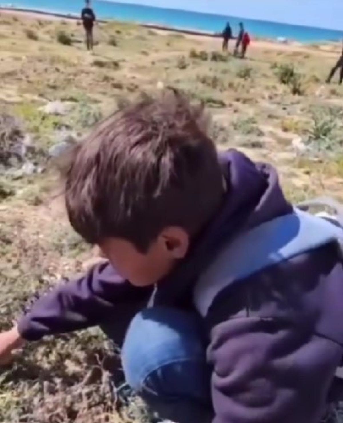 Situație tulburătoare în Fâșia Gaza. Locuitorii au ajuns să mănânce iarbă și să bea ape uzate VIDEO