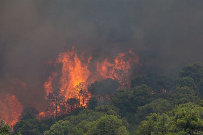 În ultimele 24 de ore au izbucnit 50 de incendii în Grecia