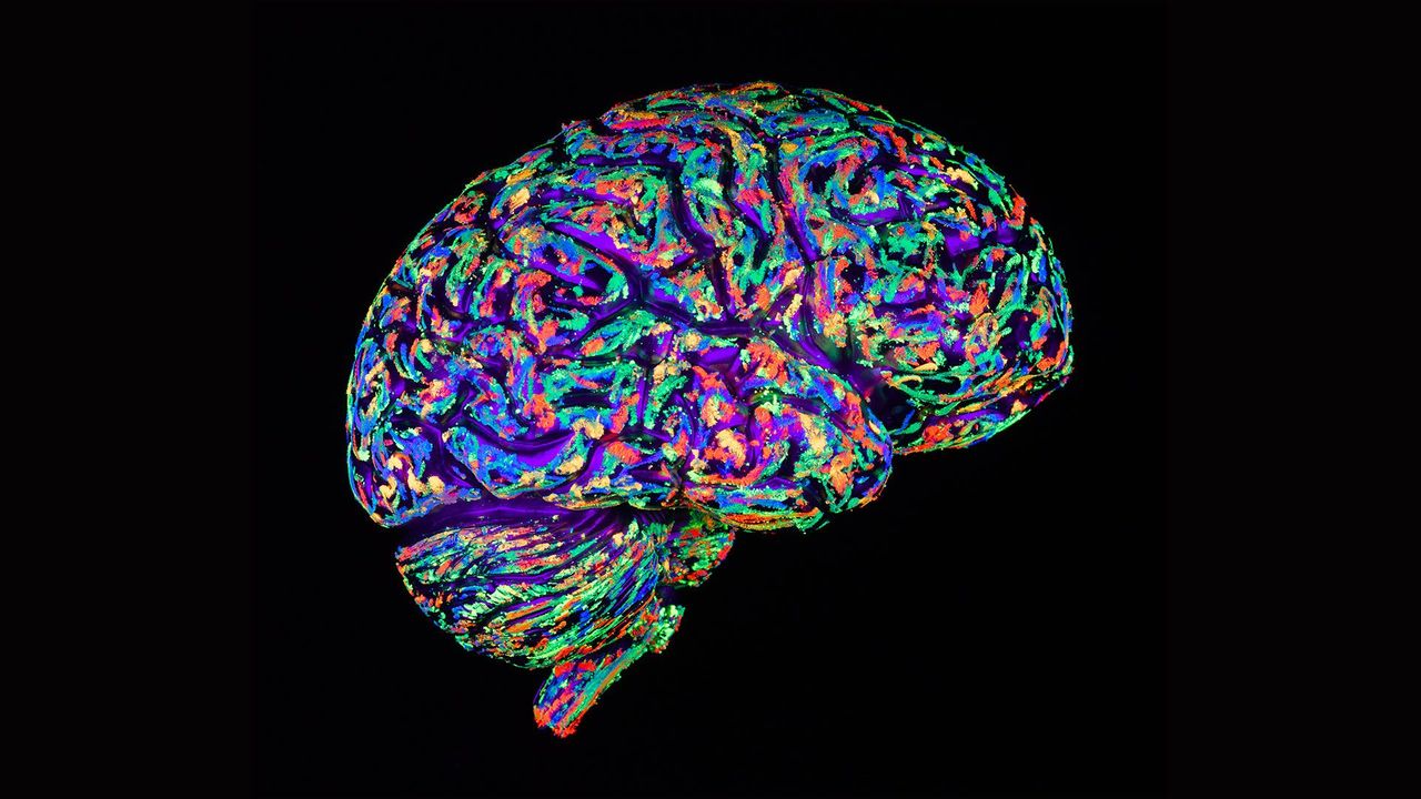 Persoanele optimiste au modele similare de activitate cerebrală