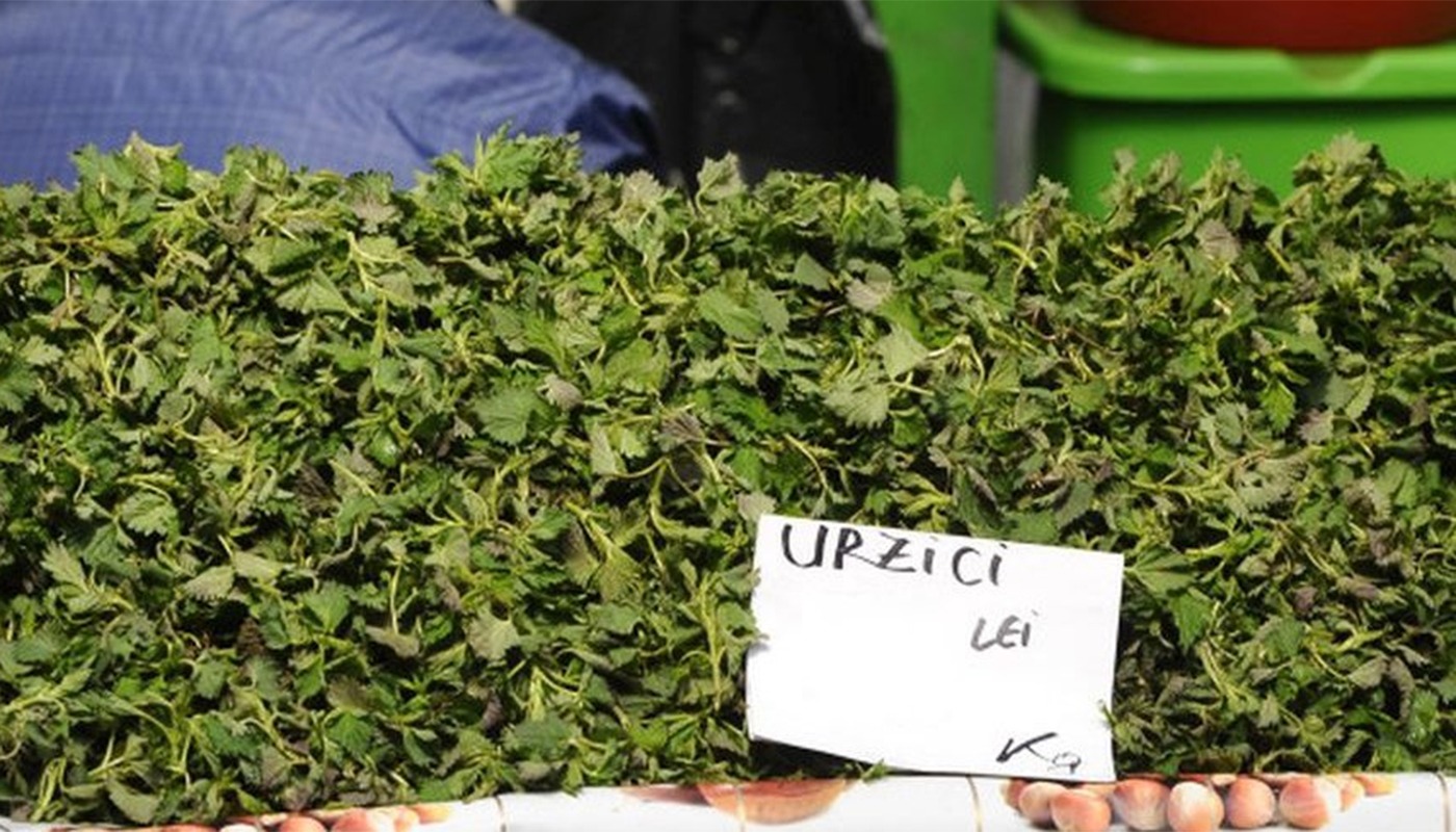 Bălăria de sezon care costă mai mult decât un coltlet în primăvara timpurie. Cum îți dai seama dacă planta este încă vie