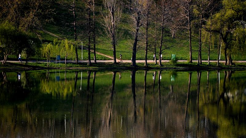 Parcul Tineretului va avea prima grădină de ploaie din București
