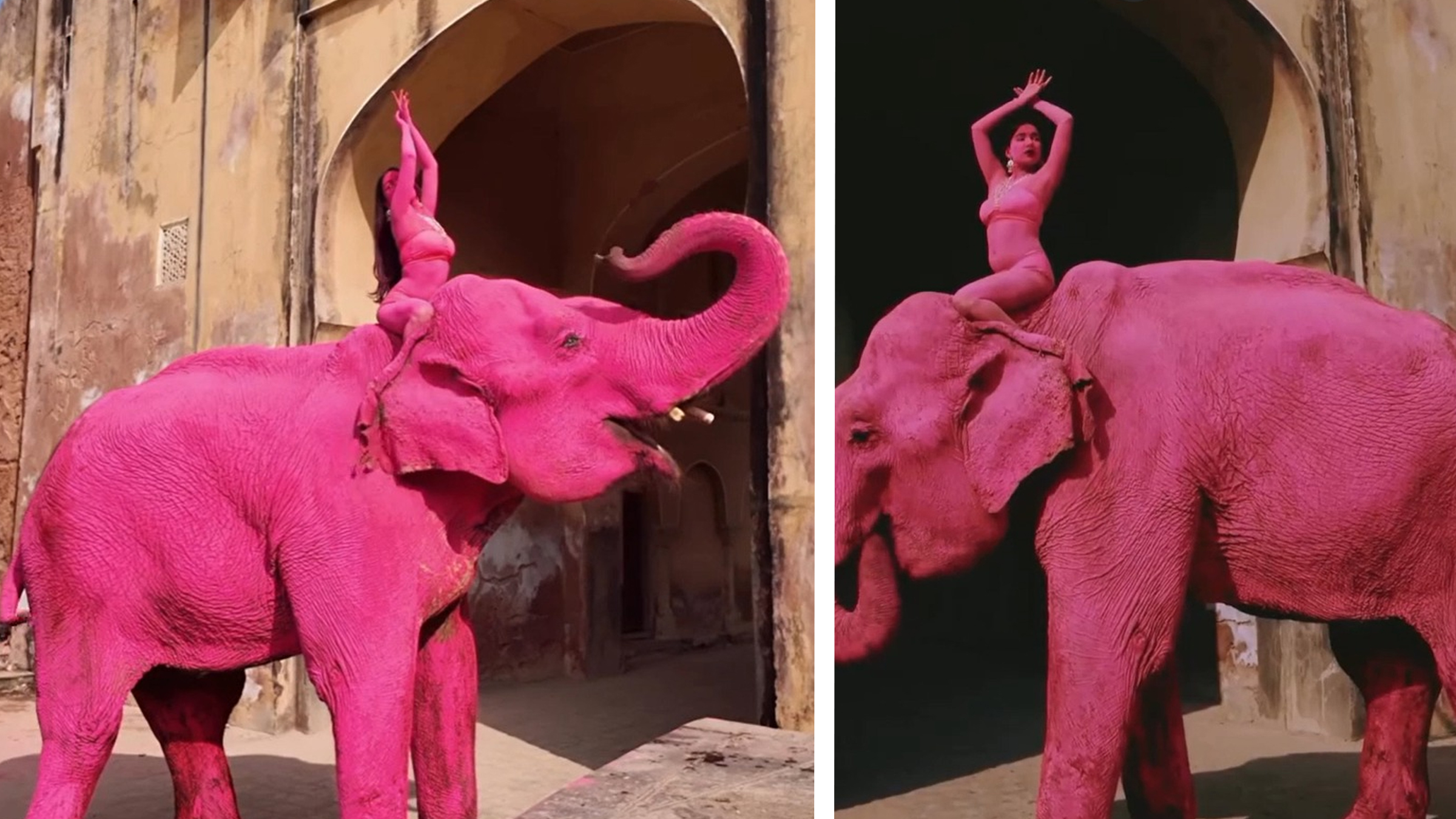 Chanchal, un elefant indian bătrân vopsit în roz, ar fi murit în India după o ședință foto. Evenimentul a incendiat India