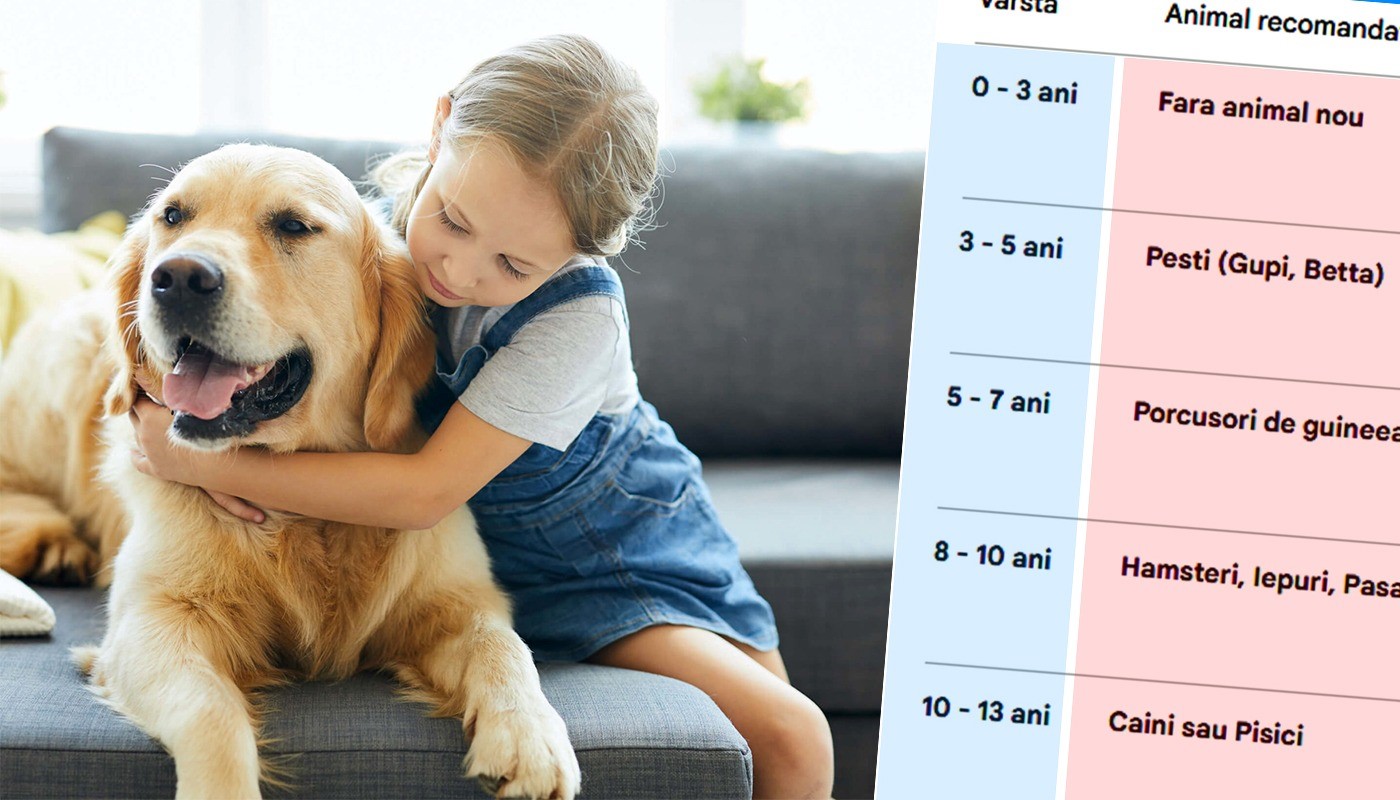 Ce animal de companie să îi cumperi copilului tău, în funcție de vârsta lui