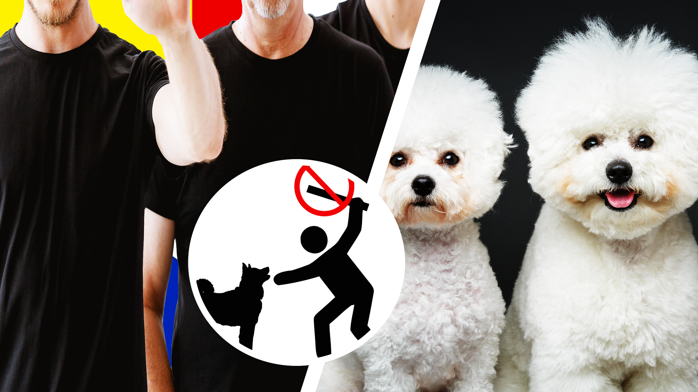 O grupare românească din Anglia ar schilodi cățeluși pentru banii de asigurare