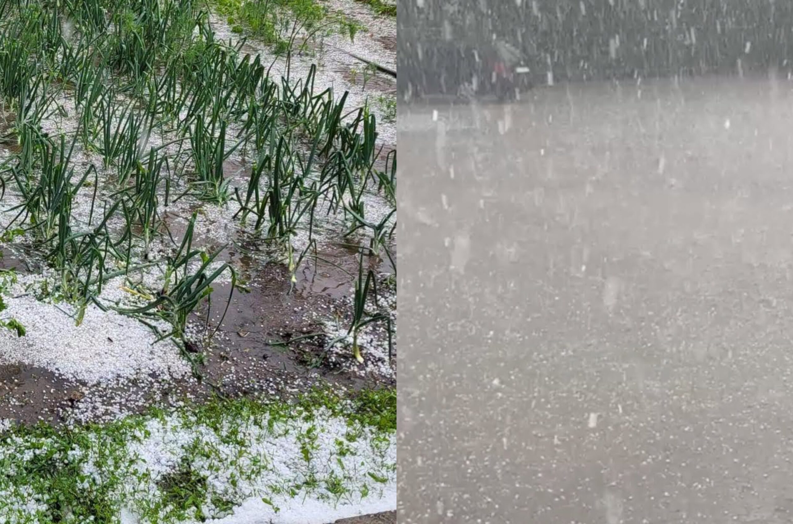 Alertă de fenomene meteo extreme. Codul portocaliu face deja prăpăd în Moldova