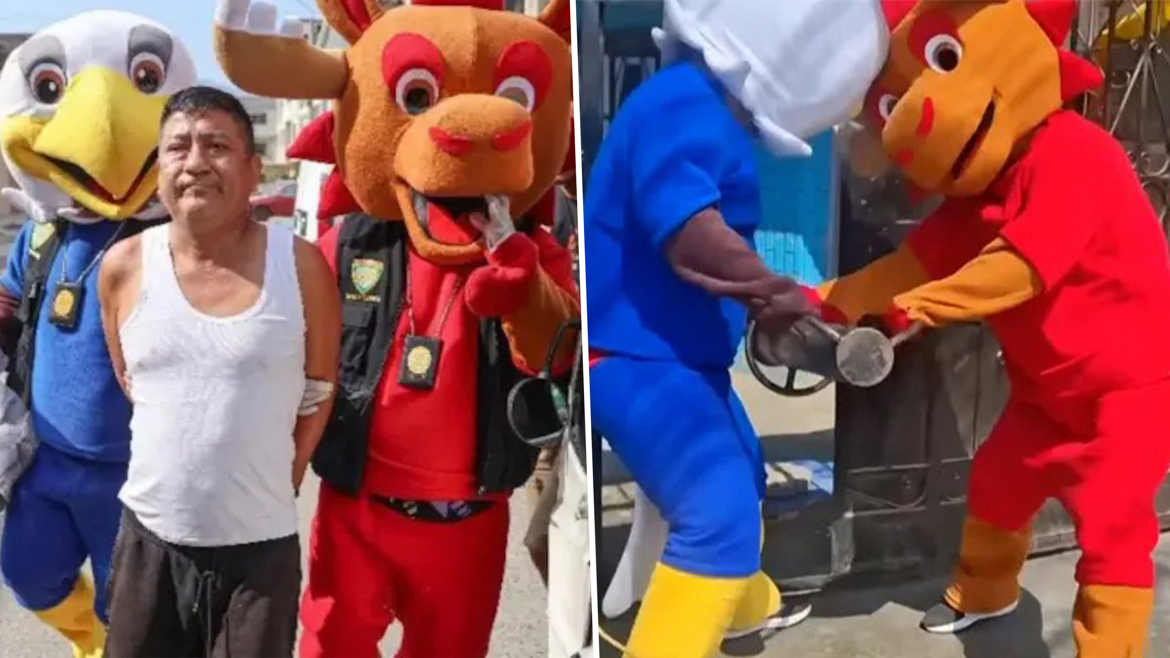 „Mascotele” de la Cupa Mondială au prins un traficant de droguri. Ce s-a întâmplat