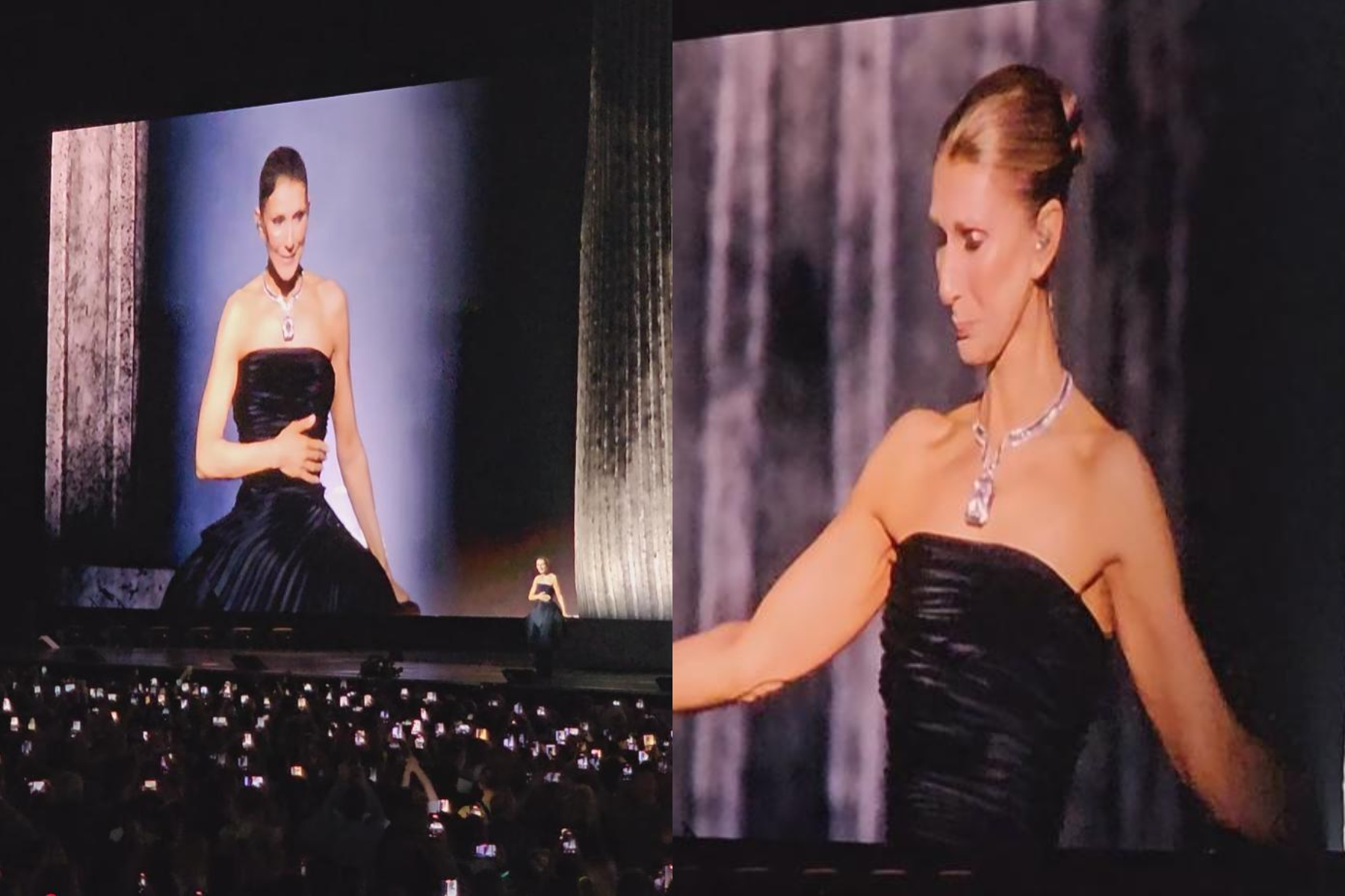Céline Dion a revenit pe scenă după o pauză de șase ani. Cântăreața a izbucnit în lacrimi. Ce le-a transmis fanilor