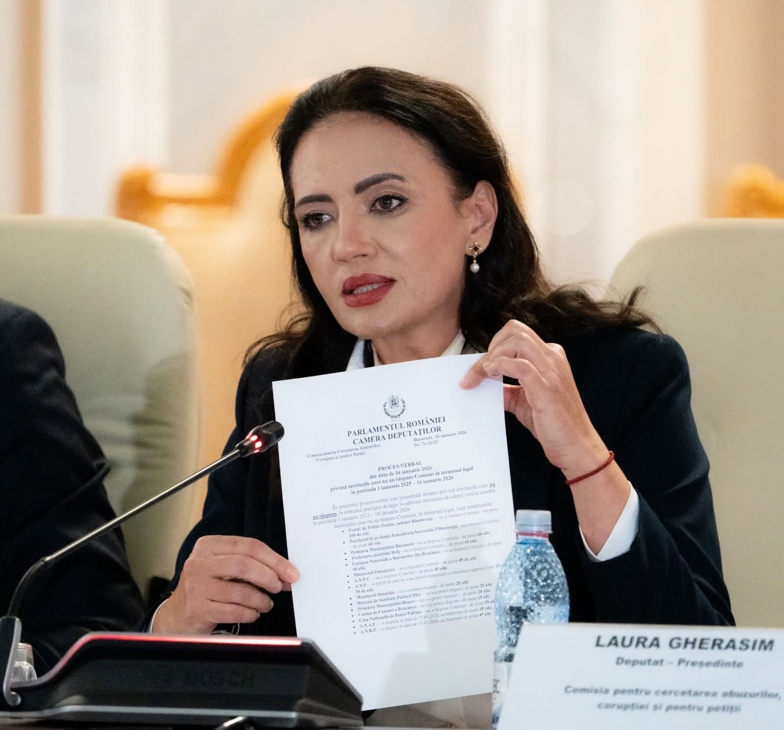 Comisia pentru abuzuri din Camera Deputaților, menționată în scandalul interceptărilor Fănel Bogos. Laura Gherasim: „Nu avem nicio sesizare”